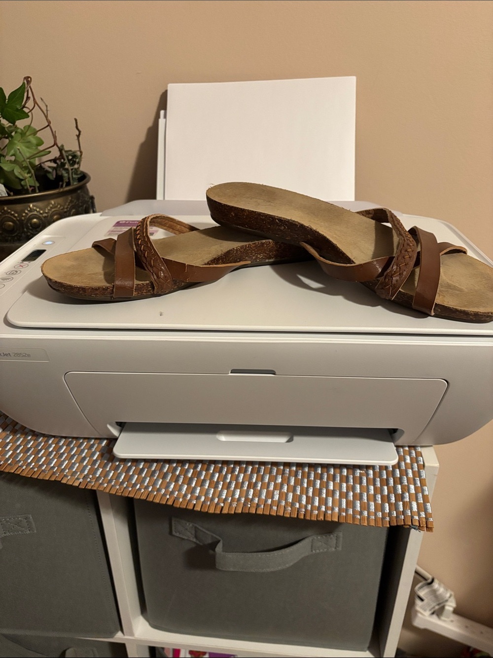 Dr. Scholl's Brown Women's Slide Sandals